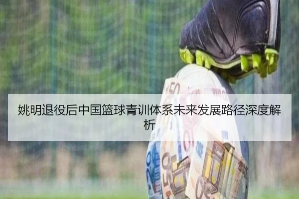 姚明退役后中国篮球青训体系未来发展路径深度解析