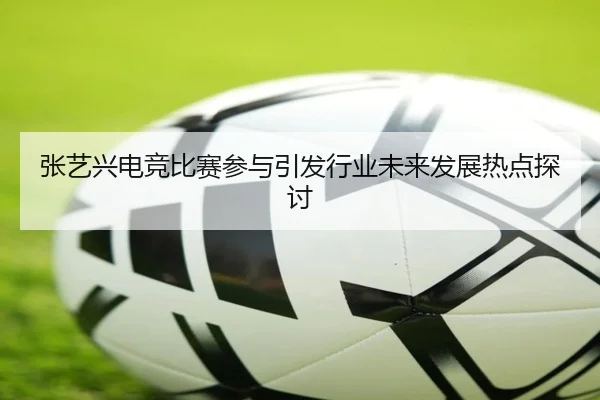 zhang-yi-xing-dian-jing-bi-sai-can-yu-yin-fa-hang-ye-wei-lai-fa-zhan-re-dian-tan-tao-2-562.jpg