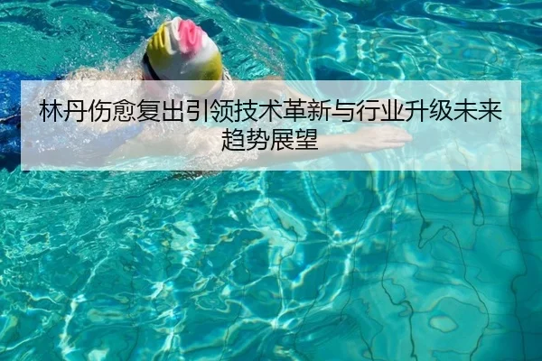 林丹伤愈复出引领技术革新与行业升级未来趋势展望