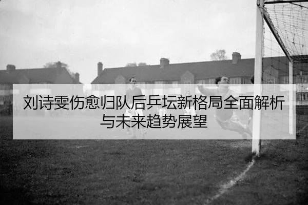 刘诗雯伤愈归队后乒坛新格局全面解析与未来趋势展望