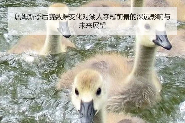 詹姆斯季后赛数据变化对湖人夺冠前景的深远影响与未来展望