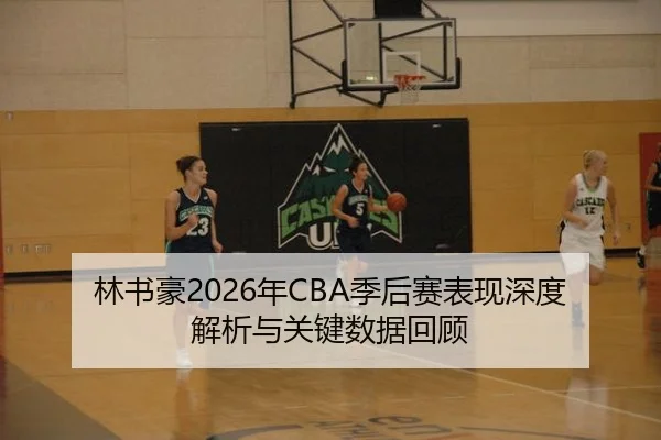 林书豪2026年CBA季后赛表现深度解析与关键数据回顾